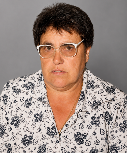 Laurinda Andrade Ferreira