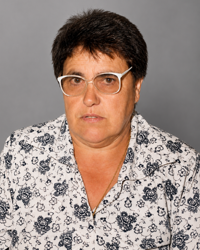 Laurinda Andrade Ferreira