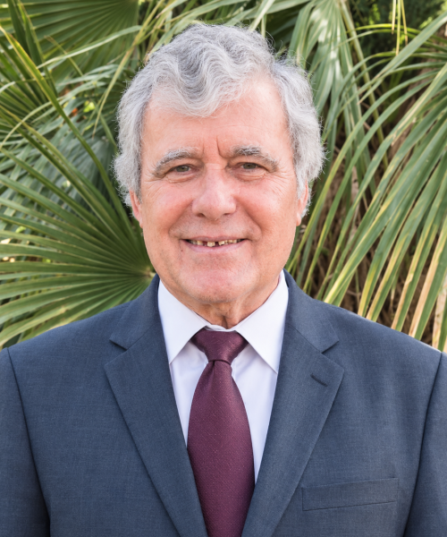 Leonardo de Carneiro Veloso