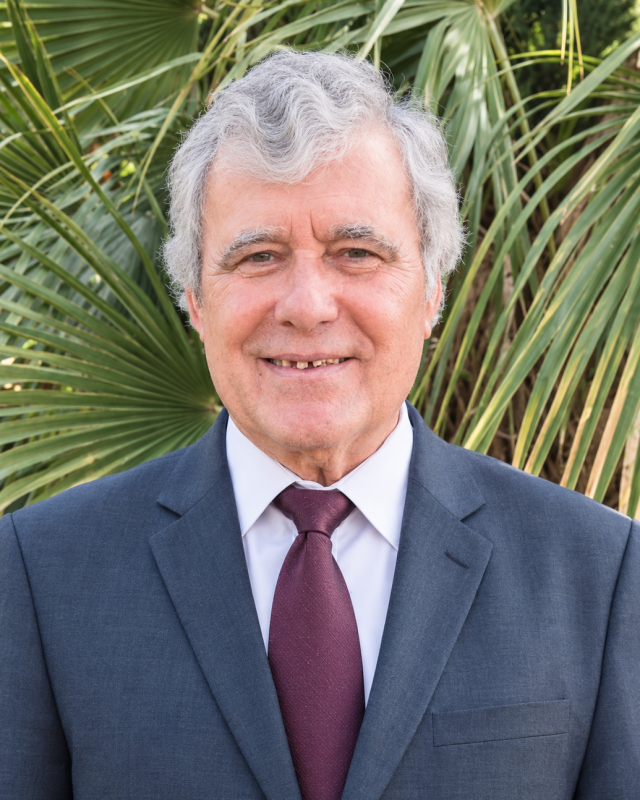 Leonardo de Carneiro Veloso