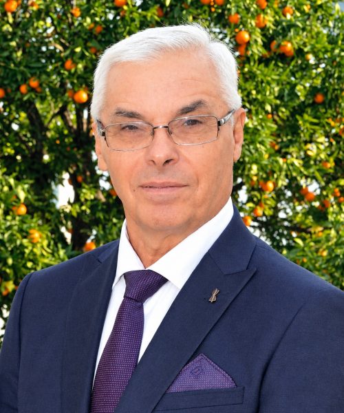 Luís Linhares Ferreira