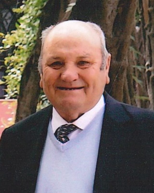 Manuel Domingues da Silva Furtado
