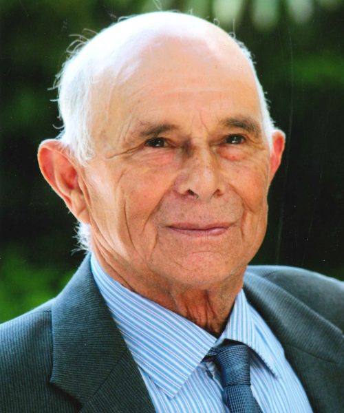 Manuel Domingues da Silva
