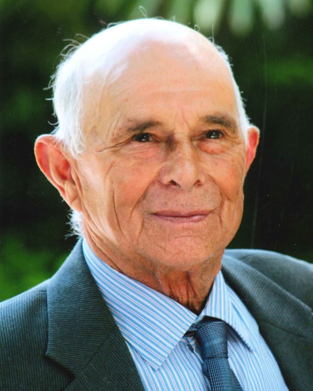 Manuel Domingues da Silva