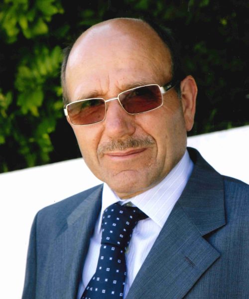 Manuel Fernandes da Costa Subida