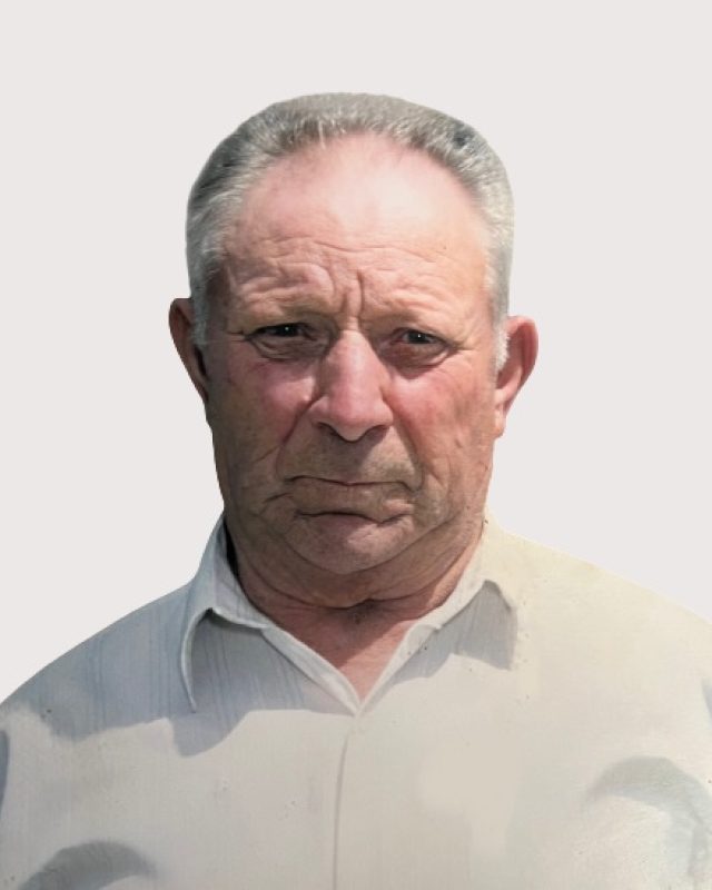 Manuel Ferreira de Castro
