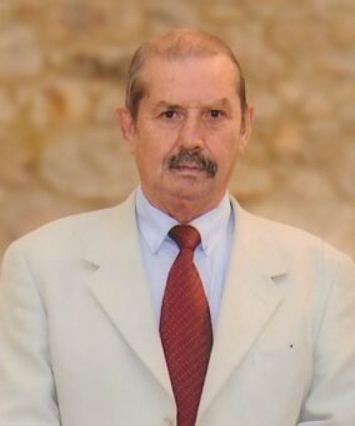 Manuel Fonseca Gomes