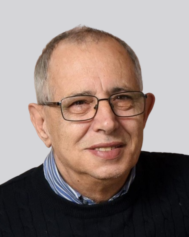 Manuel Gomes Ferreira