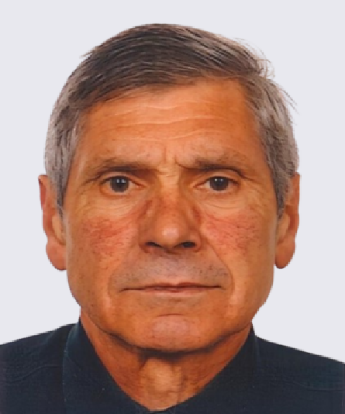 Manuel João Martins Correia