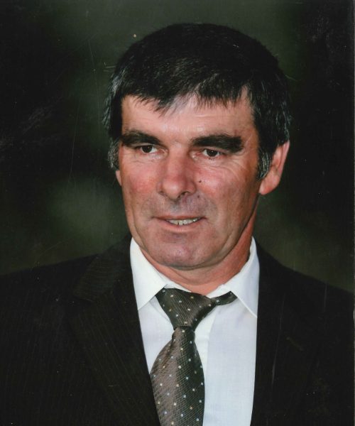 Manuel João de Sá Gonçalves