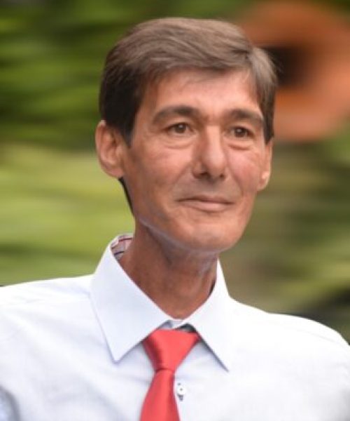 Manuel Jorge Ferreira da Silva