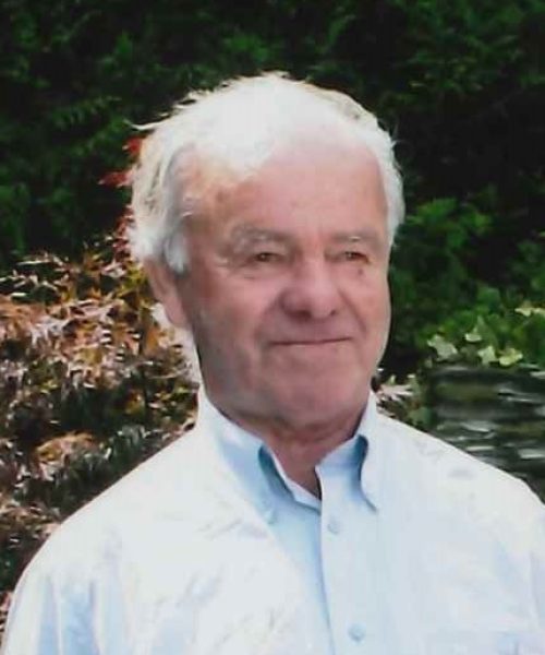 Manuel Lopes da Silva