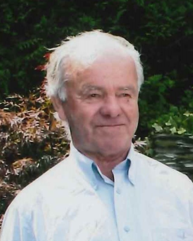Manuel Lopes da Silva