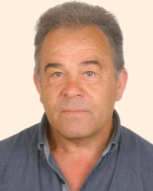 Manuel Malheiro da Mota e Sousa