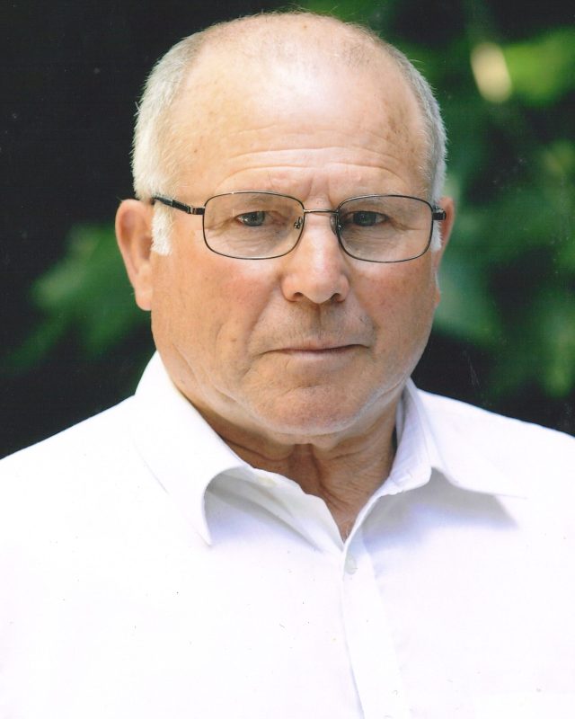 Manuel Martins Lopes