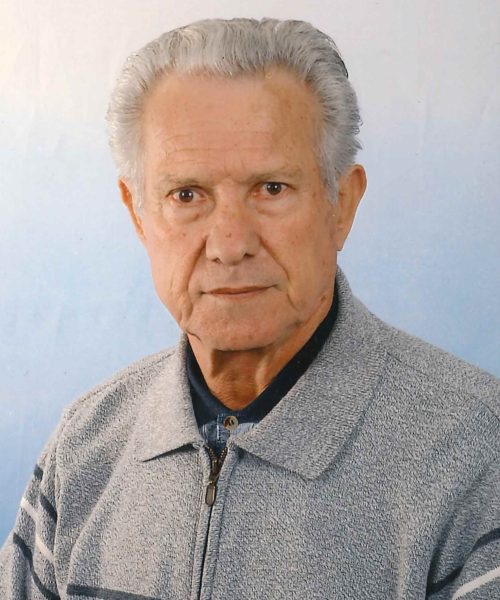 Manuel Serra da Silva