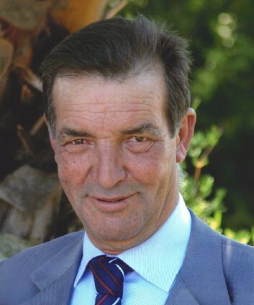 Manuel da Costa Palmeiro