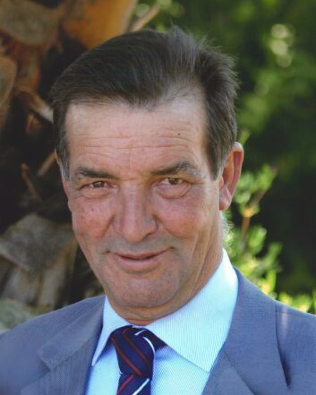 Manuel da Costa Palmeiro