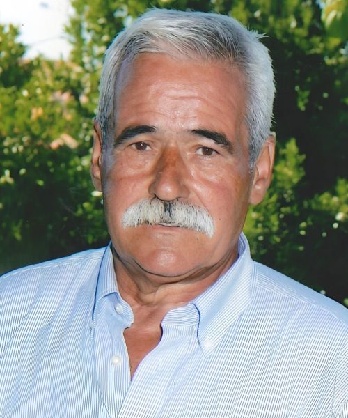 Manuel da Silva Araújo