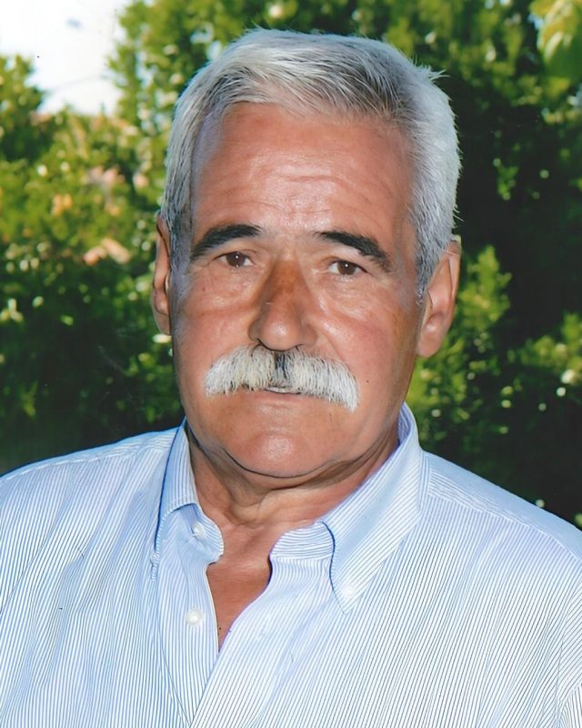 Manuel da Silva Araújo