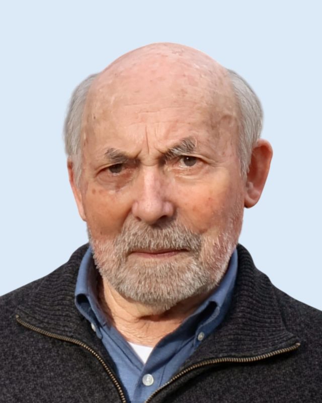 Manuel da Silva Faria