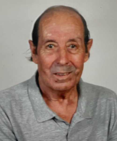 Manuel da Silva Gonçalves