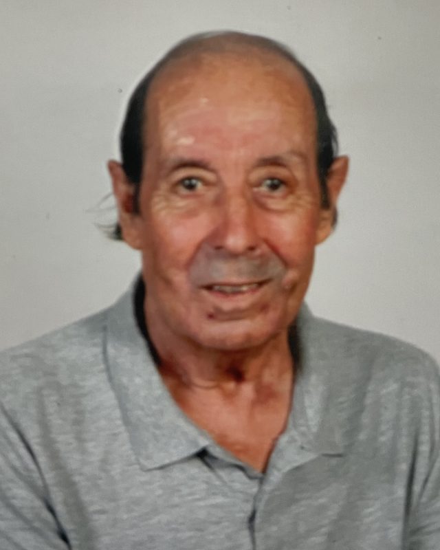 Manuel da Silva Gonçalves