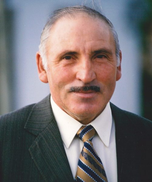 Manuel de Almeida Lemos