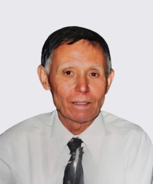 Manuel dos Santos Ferreira