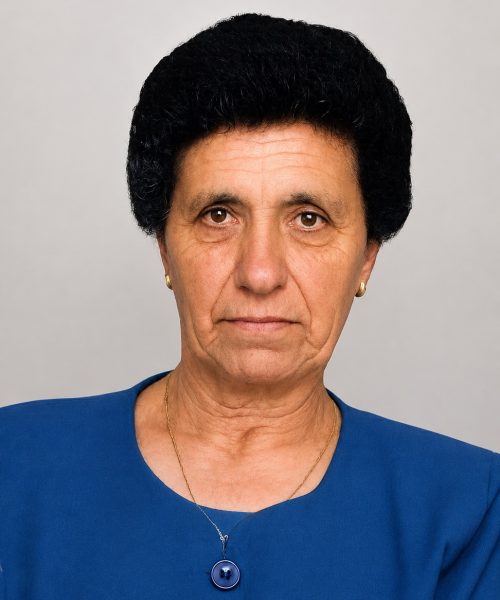 Maria Alice Fernandes Ferreira