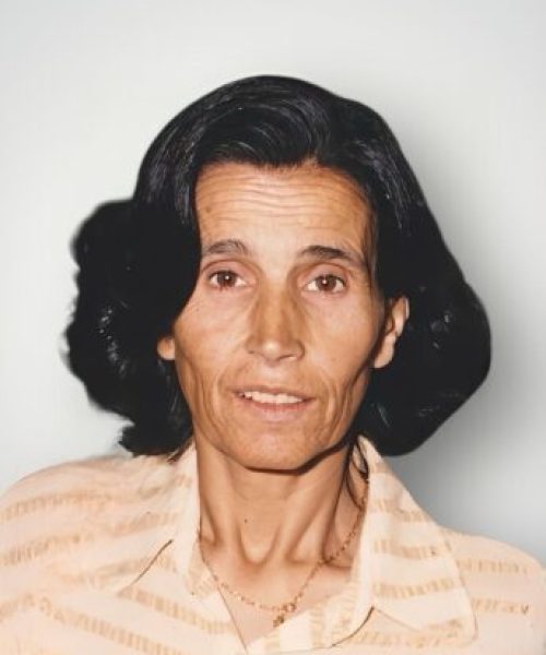 Maria Alice Vieira Martins Ferreira