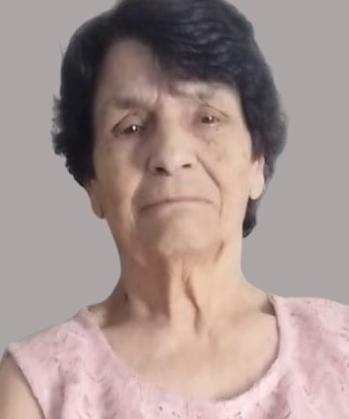 Maria Arminda Martins da Silva