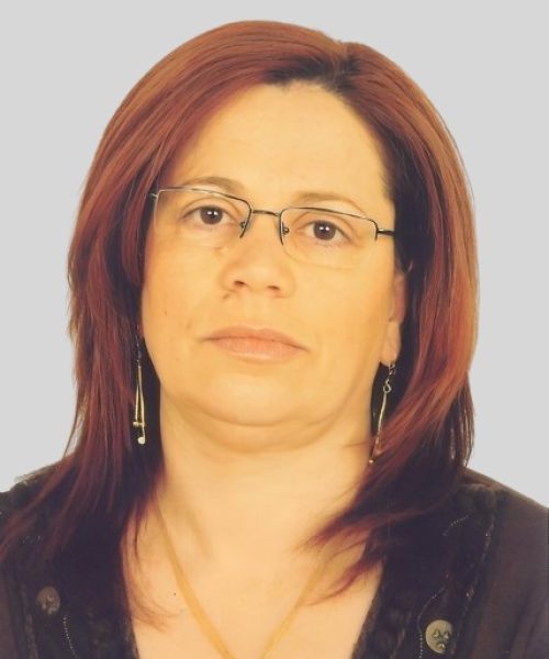 Maria Arminda da Silva Gomes