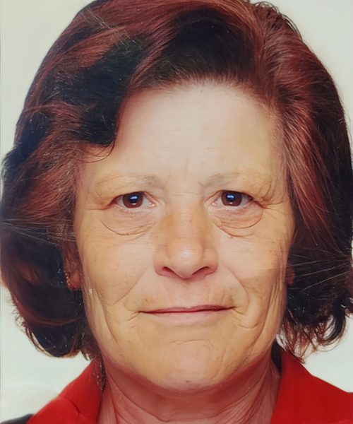 Maria Carolina Pereira Lima