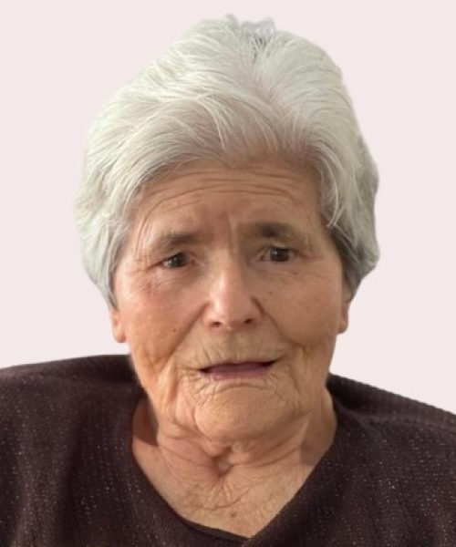 Maria Elvira Fernandes da Silva
