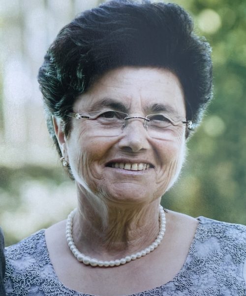 Maria Inês Gonçalves da Silva reis Silva