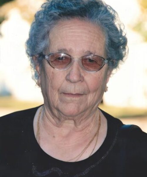 Maria Lúcia Azevedo de Faria
