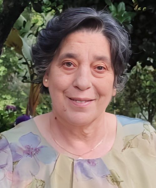 Maria Lúcia Correia da Silva