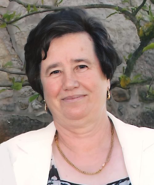 Maria Lúcia Martins de Araújo