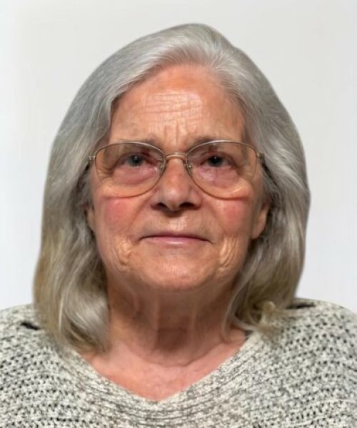 Maria Teresa de Sousa Ferreira Guerreiro