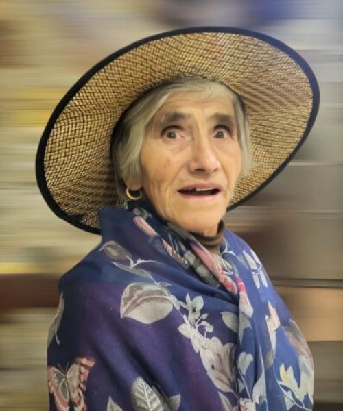 Maria de Lourdes Moreira de Oliveira