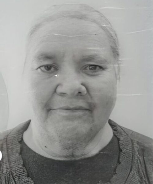 Maria de Lurdes Gomes de Campos