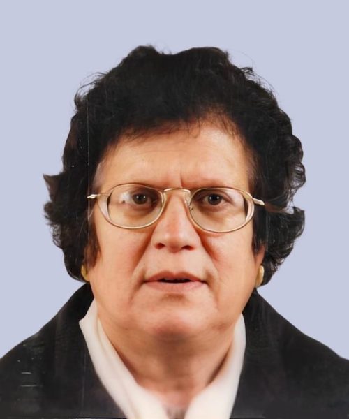 Maria de Lurdes Novais de Campos