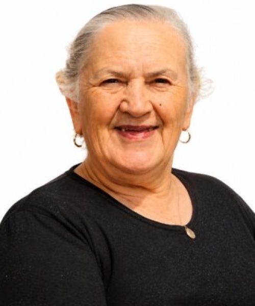 Maria de Sousa e Freitas