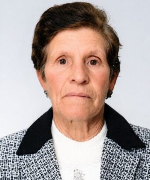 Maria de lurdes Fontes dos Santos