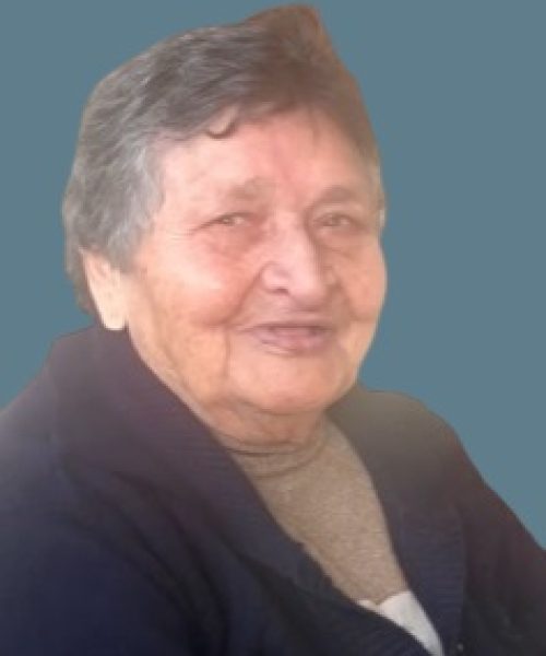 Maria do Carmo Ferreira de Campos