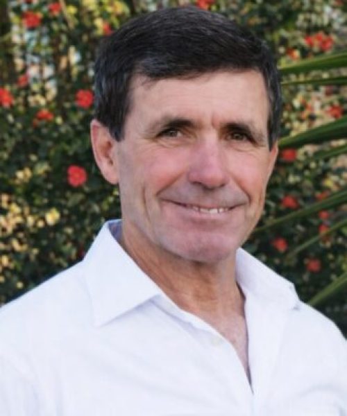 Miguel Ferreira de Carvalho