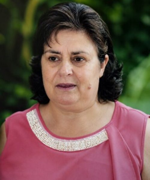 Olívia Pena Fernandes Martins Lopes